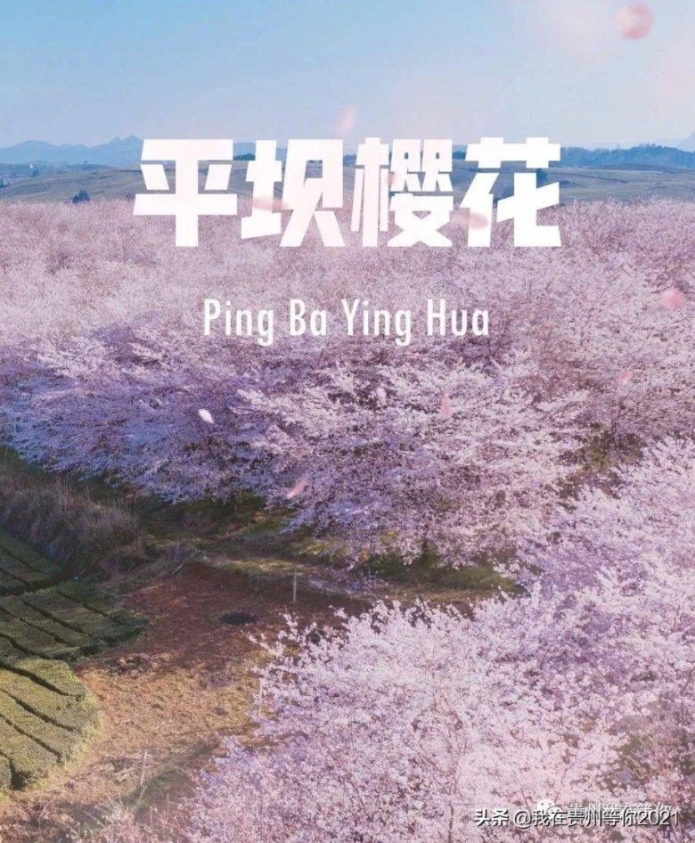 深圳网红餐厅,被曝将剩饭倒进电饭煲!最新回应来了