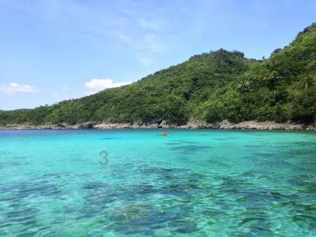 网红说法求真|令人瑟瑟发抖的根管治疗真的可能被替代了吗？