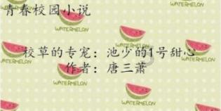 丰田卡车找不同