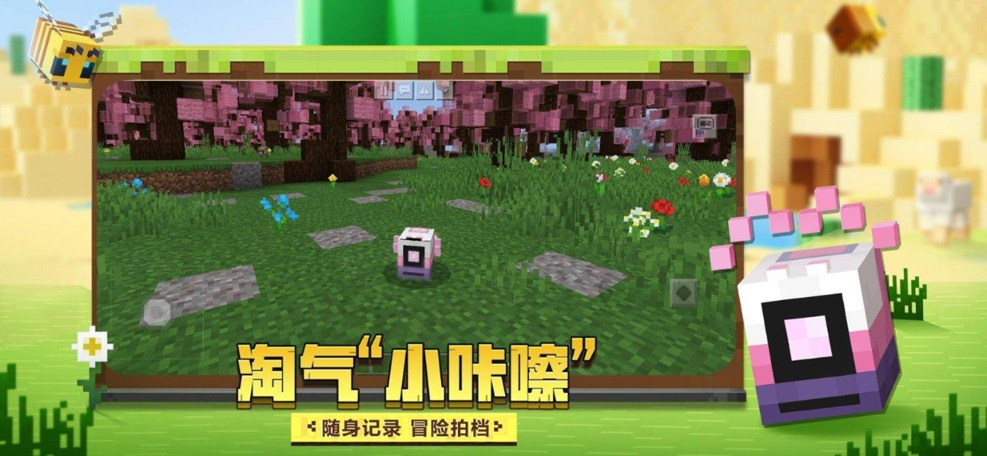 救援呆萌的猫