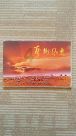 唏嘘!2004年中超元年12支球队,如今只剩5队存活