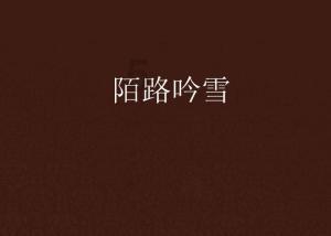 全球看春晚!中央广播电视总台“春晚序曲”活动在内罗毕举行