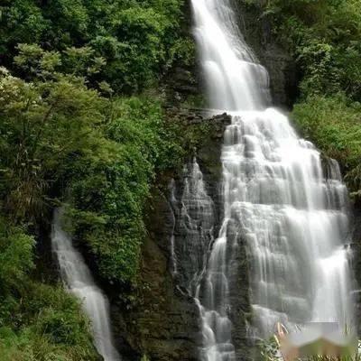 狂野的飙客无敌版